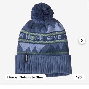 patagonia powder town beanie: save our home dolomite blue